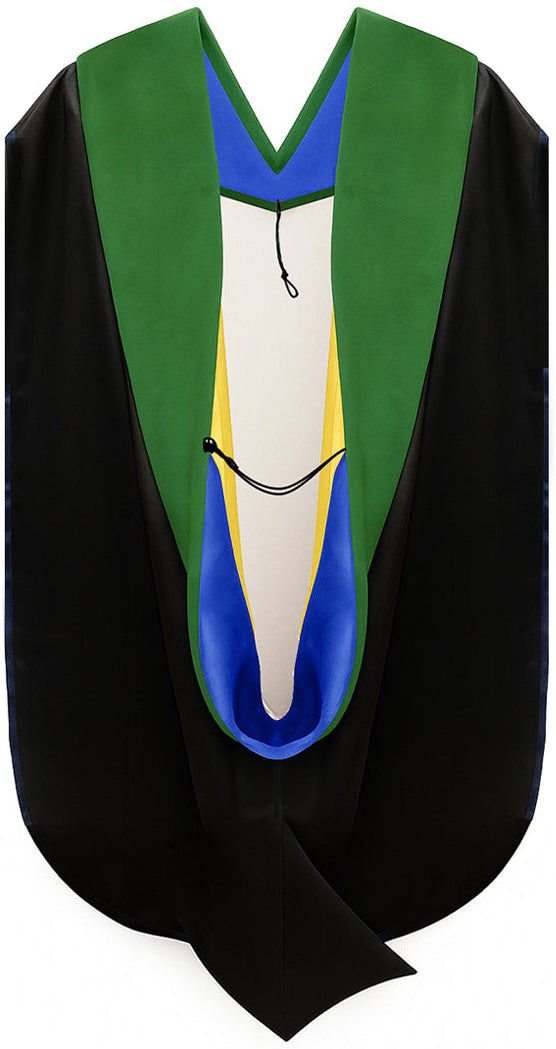 Doctor of Medicine Hood - Royal Blue & Gold