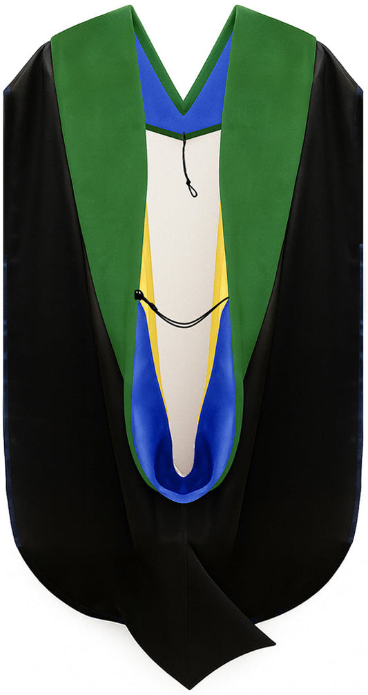 Doctor of Medicine Hood - Royal Blue & Gold